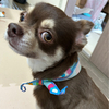 みきてぃさんのプロフィール画像