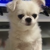 きーさんさんのプロフィール画像