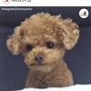 TEDさんのプロフィール画像