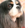 BOBさんのプロフィール画像