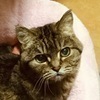 ミュウミンさんのプロフィール画像