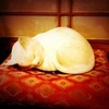 Hirociaさんのプロフィール画像