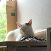 ゆずさんのプロフィール画像