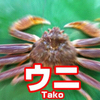 でんさんのプロフィール画像