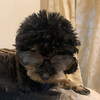 アーキィさんのプロフィール画像
