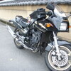 Maxさんのプロフィール画像