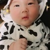 しーママさんのプロフィール画像