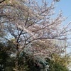 takaさんのプロフィール画像