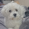 タッキー