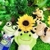 mimiさんのプロフィール画像