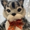 きゃすさんのプロフィール画像