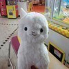 れいさんのプロフィール画像