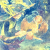 yellowさんのプロフィール画像