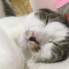 たなか