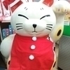 にゃんたさんのプロフィール画像