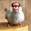 ユウさんのプロフィール画像
