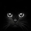 Black Cat