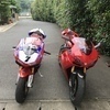 ヨッシーさんのプロフィール画像