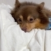 nanaさんのプロフィール画像