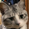 sunminさんのプロフィール画像