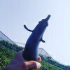 hiさんのプロフィール画像