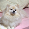 にぃなさんのプロフィール画像