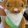 ferrcapさんのプロフィール画像