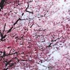 ALTさんのプロフィール画像