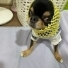 ぼーちゃんさんのプロフィール画像