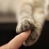 むら