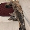 ngswyskさんのプロフィール画像