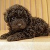 taizoさんのプロフィール画像