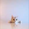 九条さんのプロフィール画像