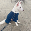 ぽぅ。さんのプロフィール画像