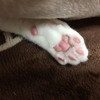 はなさんのプロフィール画像