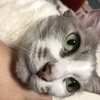 クローバーさんさんのプロフィール画像