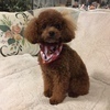 mokoさんのプロフィール画像