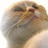 かわっちさんのプロフィール画像