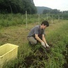 やまぐっちさんのプロフィール画像