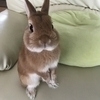じぇにーさんのプロフィール画像
