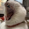 tkhsさんのプロフィール画像