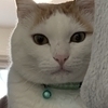 ミモラミモラさんのプロフィール画像