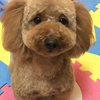 チーカマさんのプロフィール画像