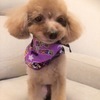 たこやきあちちさんのプロフィール画像