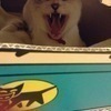 kenさんのプロフィール画像