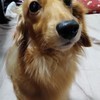 Jiroさんのプロフィール画像