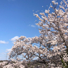 アールママ