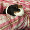 伊藤
