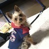 Rookieさんのプロフィール画像