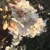 namanmaさんのプロフィール画像